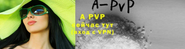 прущие крисы Белокуриха