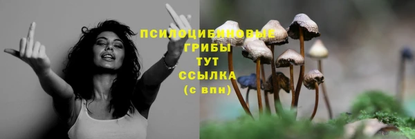 амфетамин Сатка