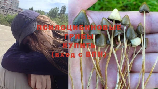 стафф Саяногорск