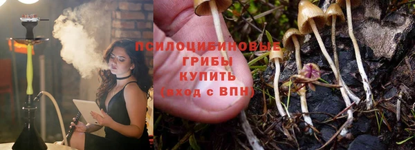 прущие крисы Белокуриха